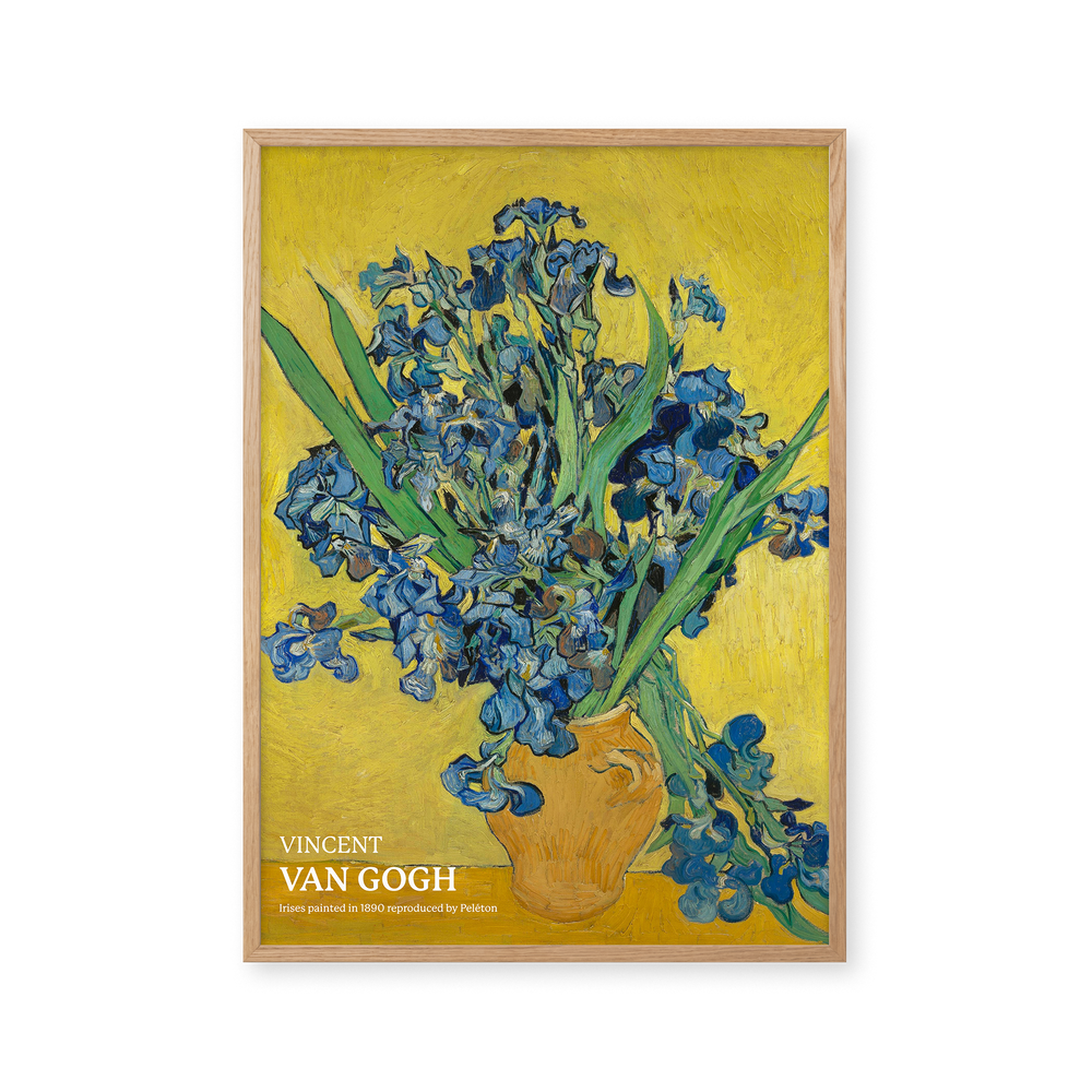 Vincent van Gogh / Irises