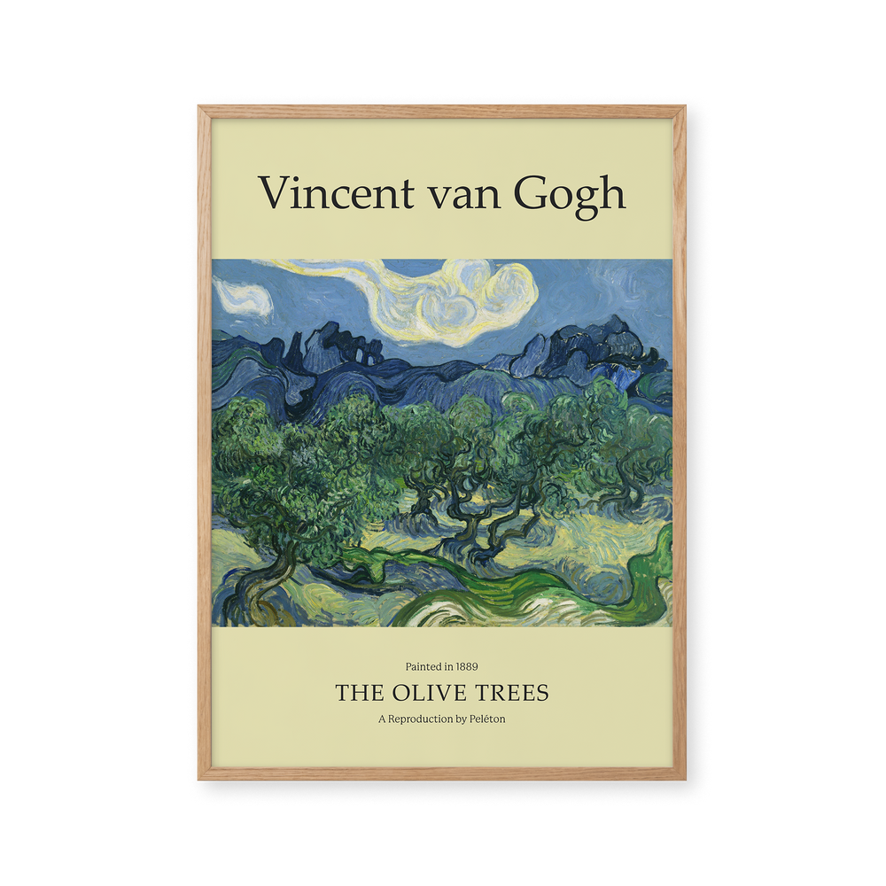 Vincent van Gogh / The Olive Trees
