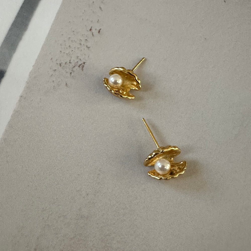 Oyster Earrings / Gold